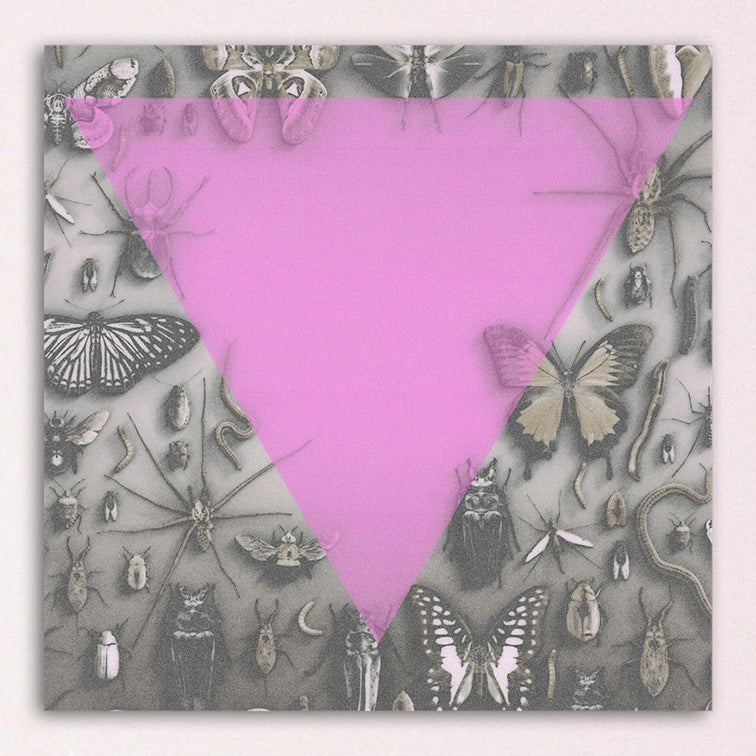 Survival Is An Act Of Defiance - 10" Vinyl - Pink